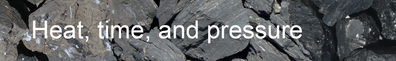 Heat, time, pressure, and coalification